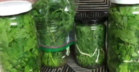 Como Conservar Salsa Fresca por um Ano