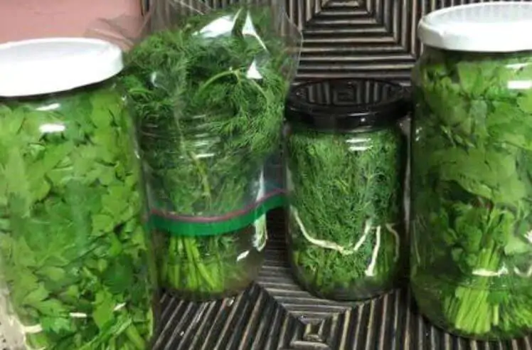 Como Conservar Salsa Fresca