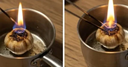 Queime Um Dente De Alho Em Casa e Descubra Os Benefícios