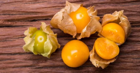 Fruta Exótica Pouco Conhecida: Descubra os Segredos da Physalis