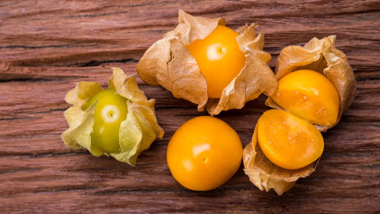Segredos da Physalis